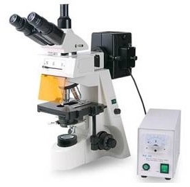 熒光顯微鏡 XYS-460